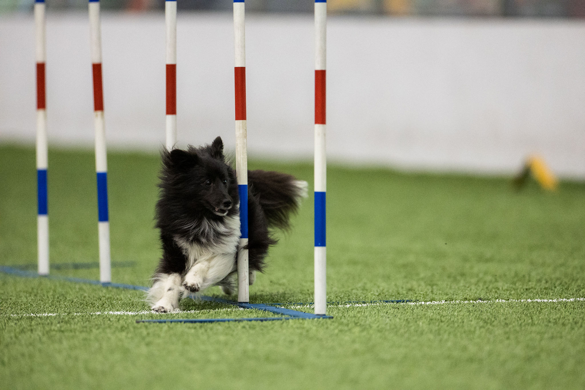 Badger ISC Cup – August 15-16, 2026